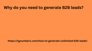 Why do you need to generate B2B leads?

