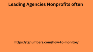 Leading Agencies Nonprofits often
