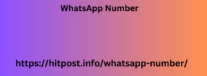 WhatsApp Number