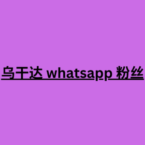 乌干达 whatsapp 粉丝