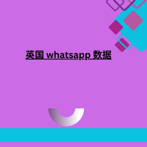 英国 whatsapp 数据